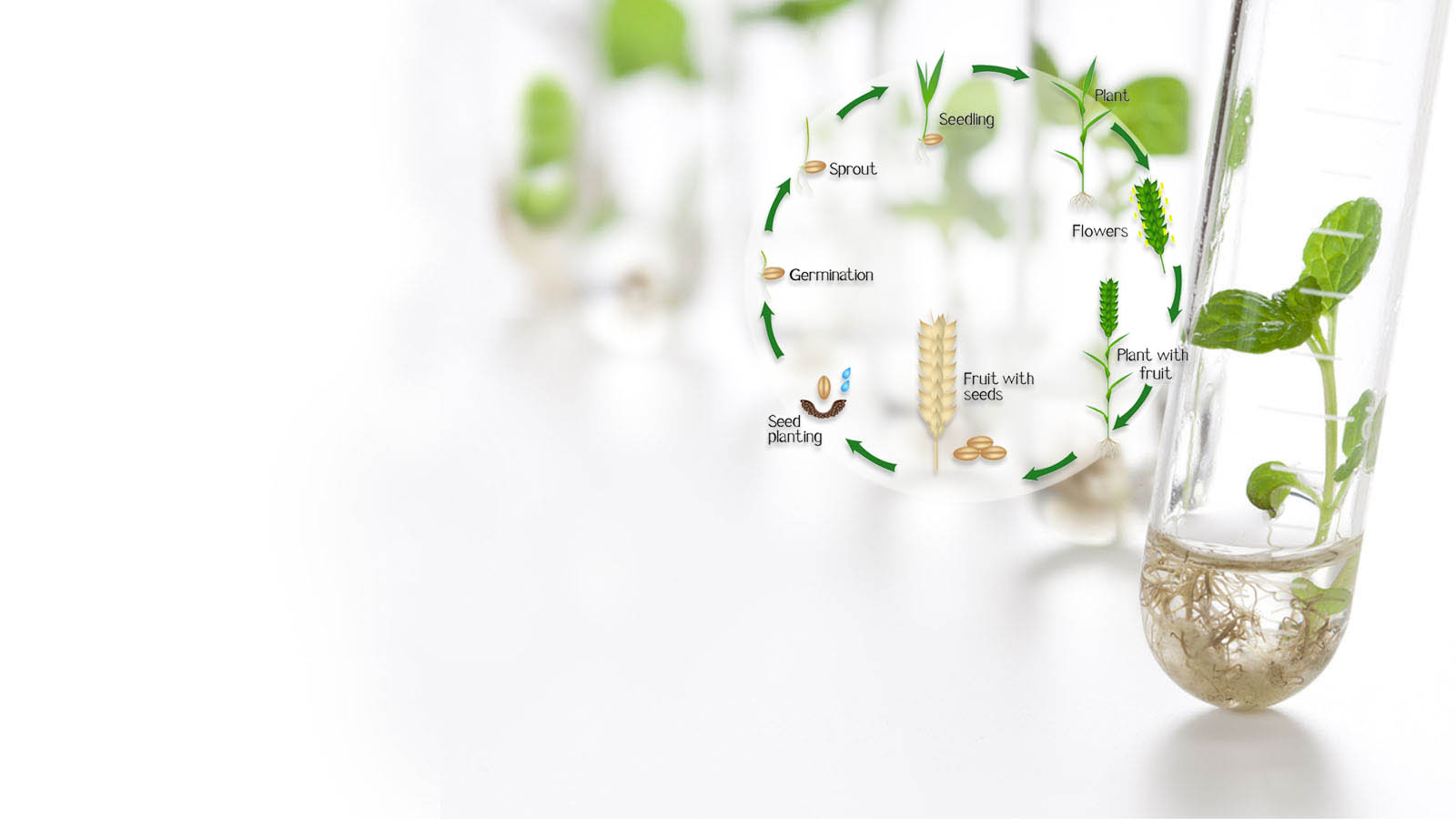 
              Science for sustainable life            